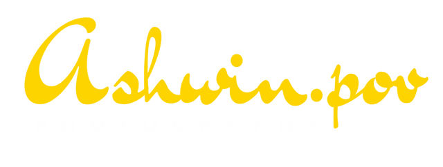 Creative Media Partner